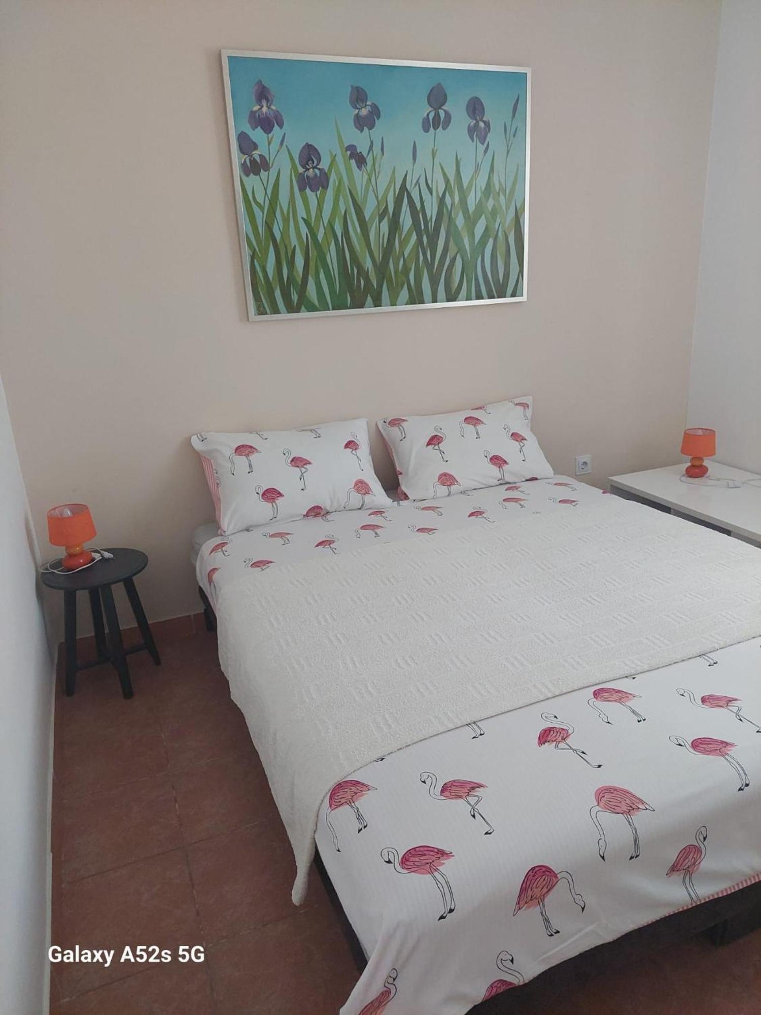 Apartments Pimpinella 프레멘투라 외부 사진